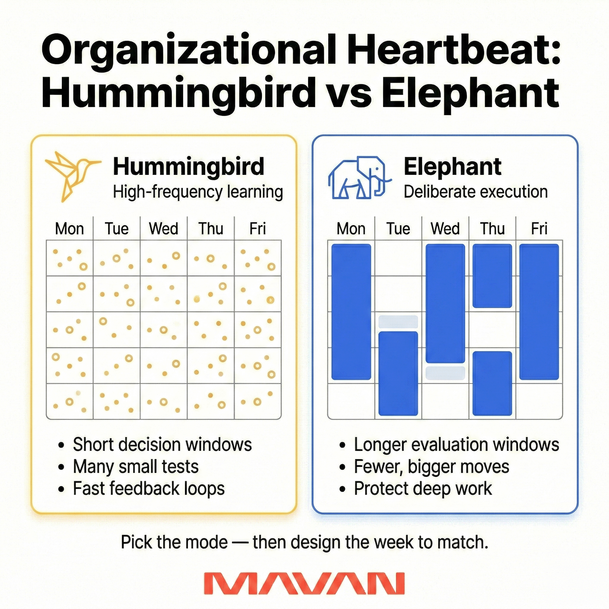 Infographic comparing hummingbird mode (fast learning cadence) and elephant mode (stable execution cadence) using a weekly rhythm visualization and short bullet definitions.