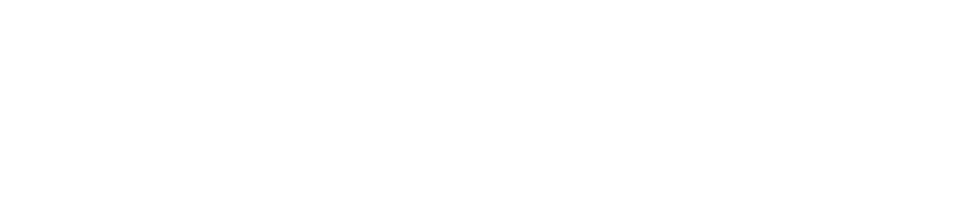 NEXUS